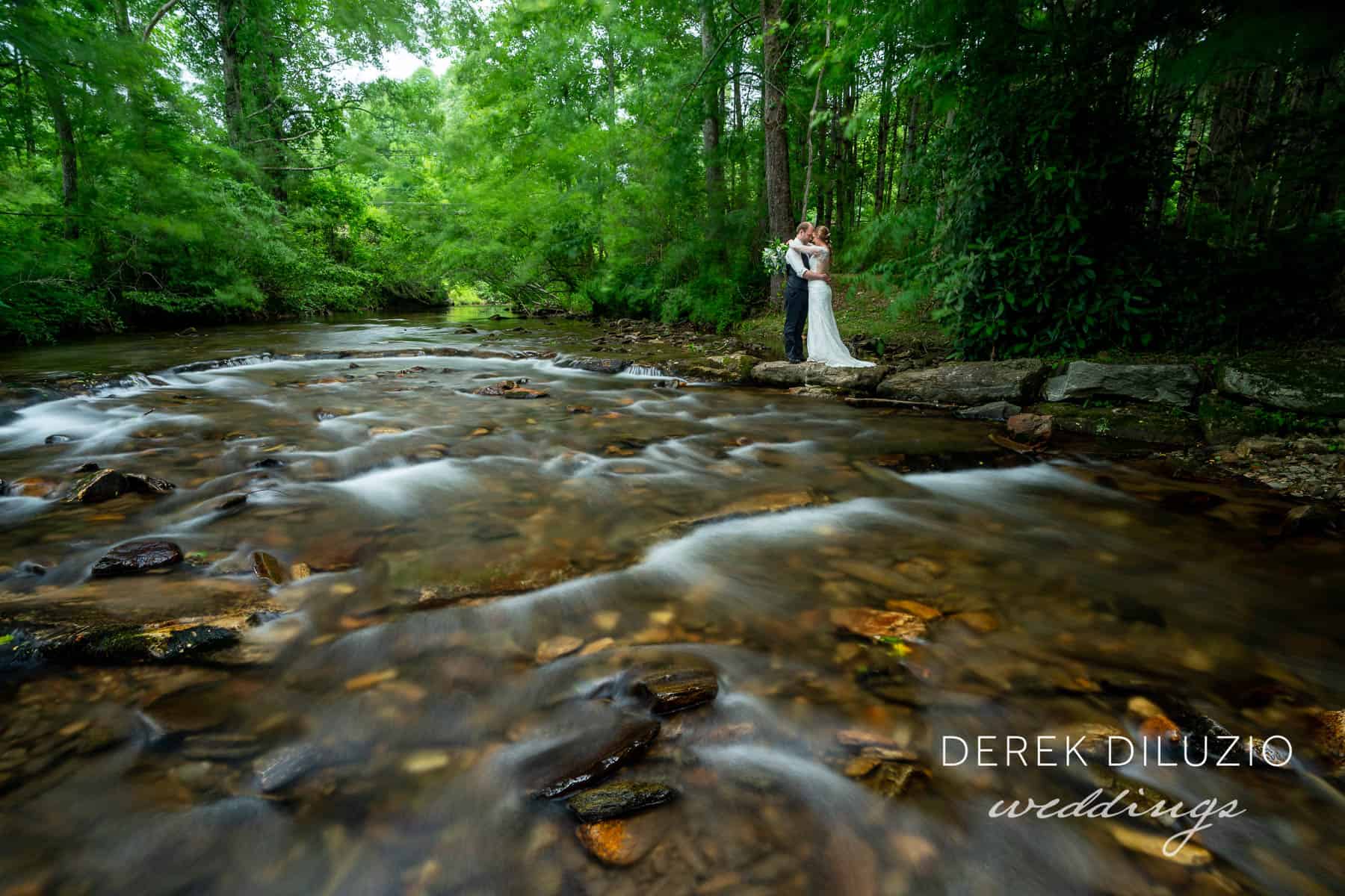 Amanda and David's wedding at Pretty Place and Seven Maples