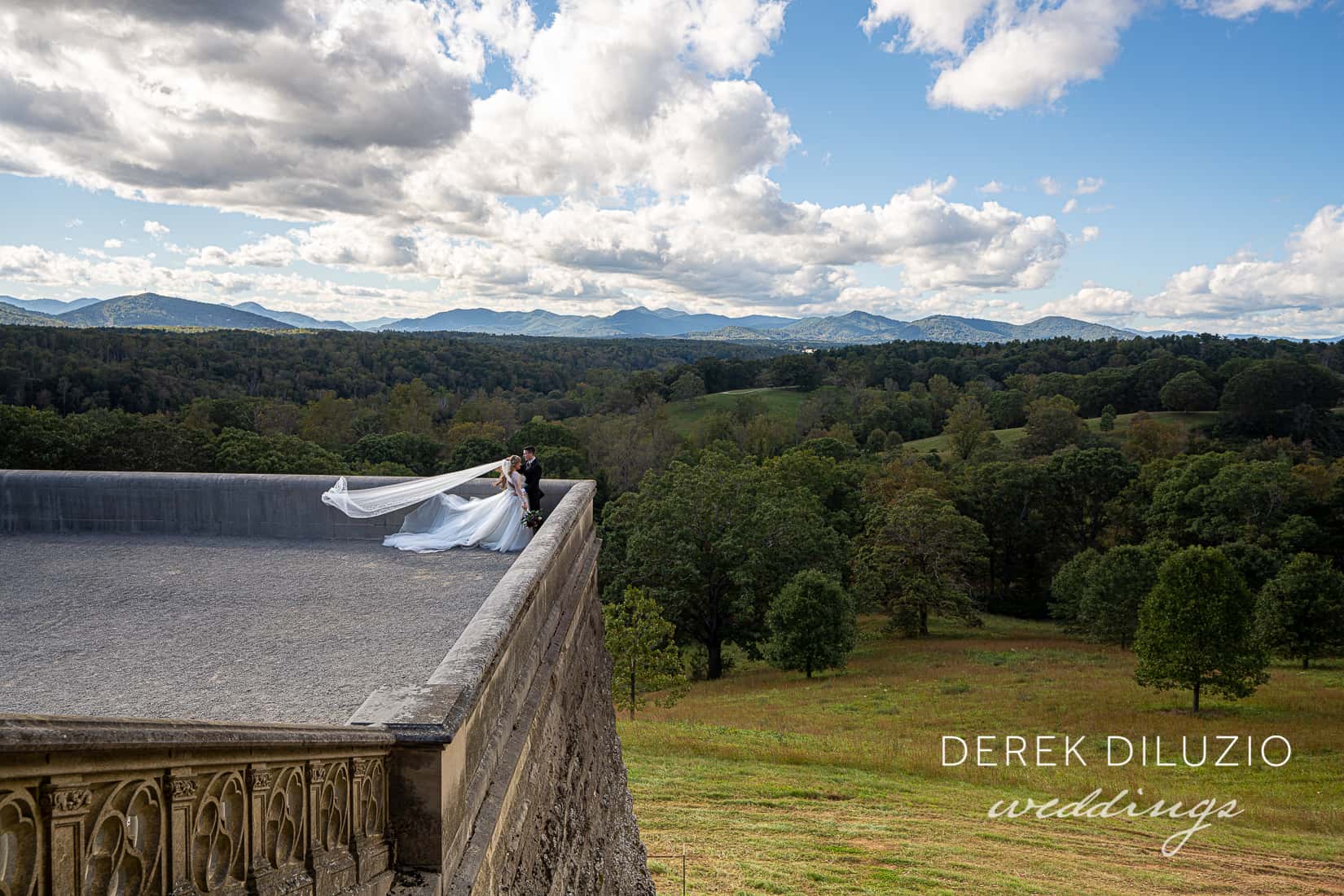 Alyssa And Todd’s Wedding At Biltmore Deerpark.