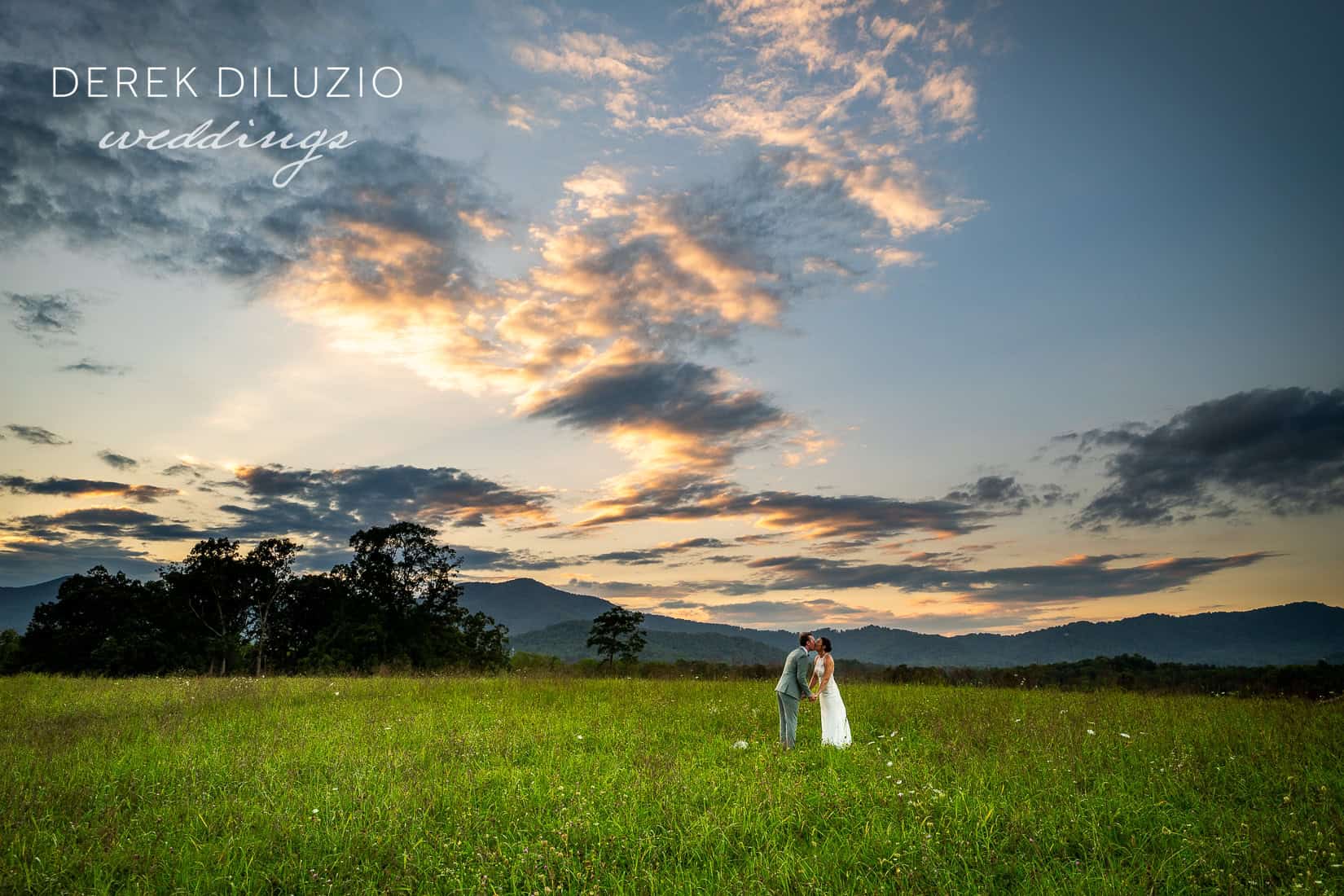 meagan and kevin’s wedding at the farm in candler, nc.